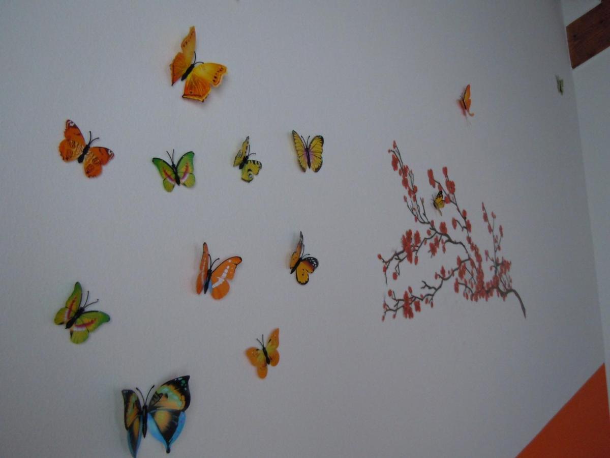 Il Farfasole Bed and Breakfast Vigonovo  Buitenkant foto