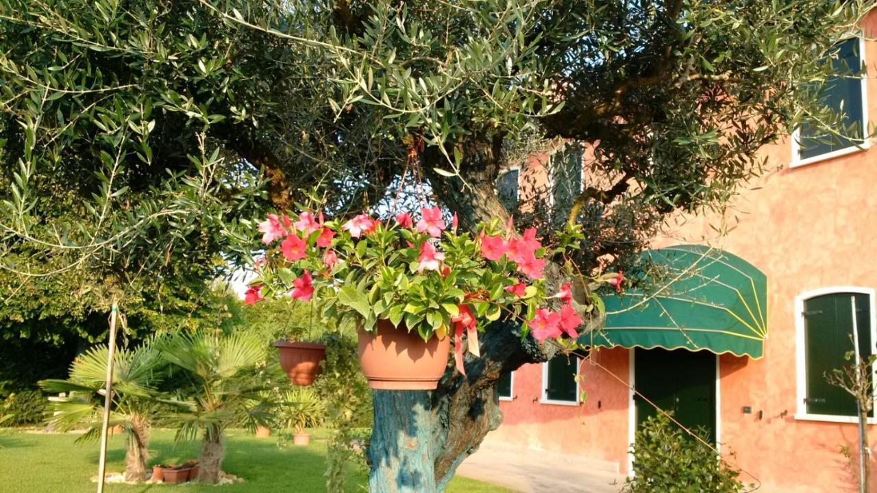 Il Farfasole Bed and Breakfast Vigonovo  Buitenkant foto