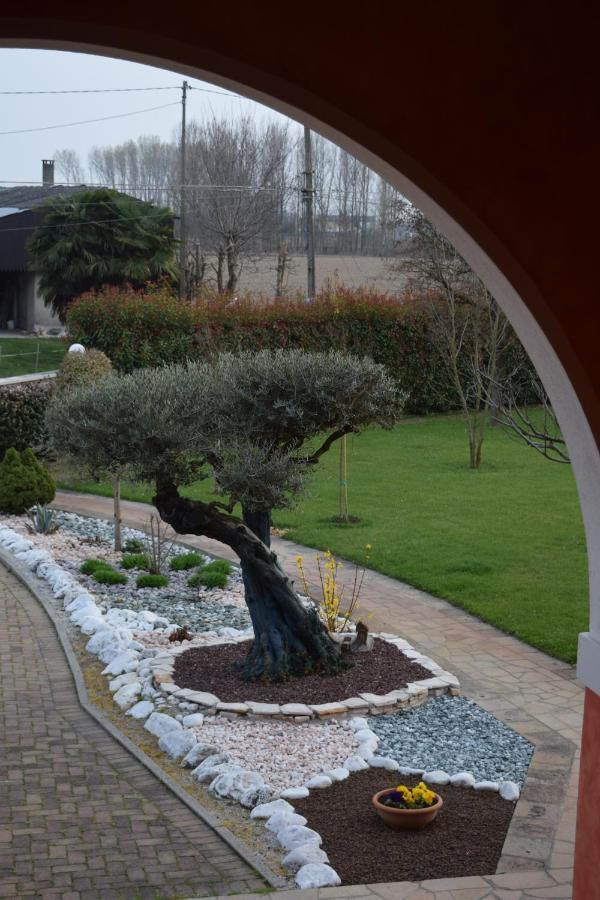 Il Farfasole Bed and Breakfast Vigonovo  Buitenkant foto