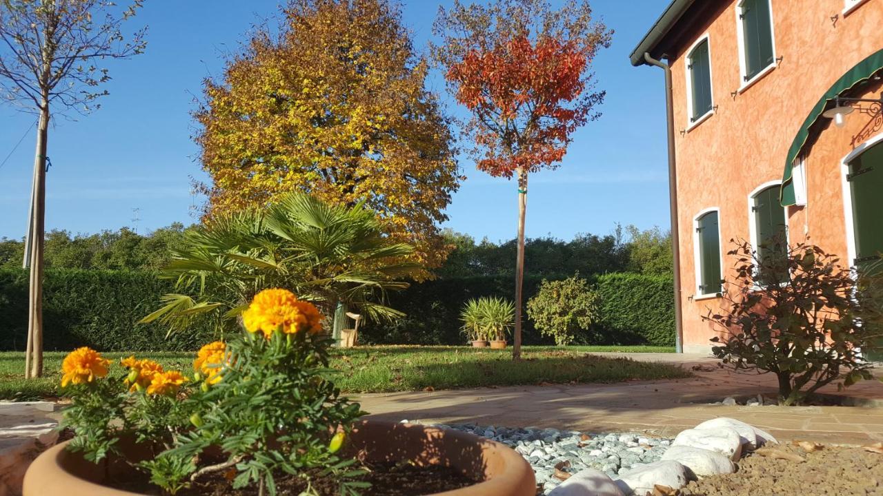 Il Farfasole Bed and Breakfast Vigonovo  Buitenkant foto
